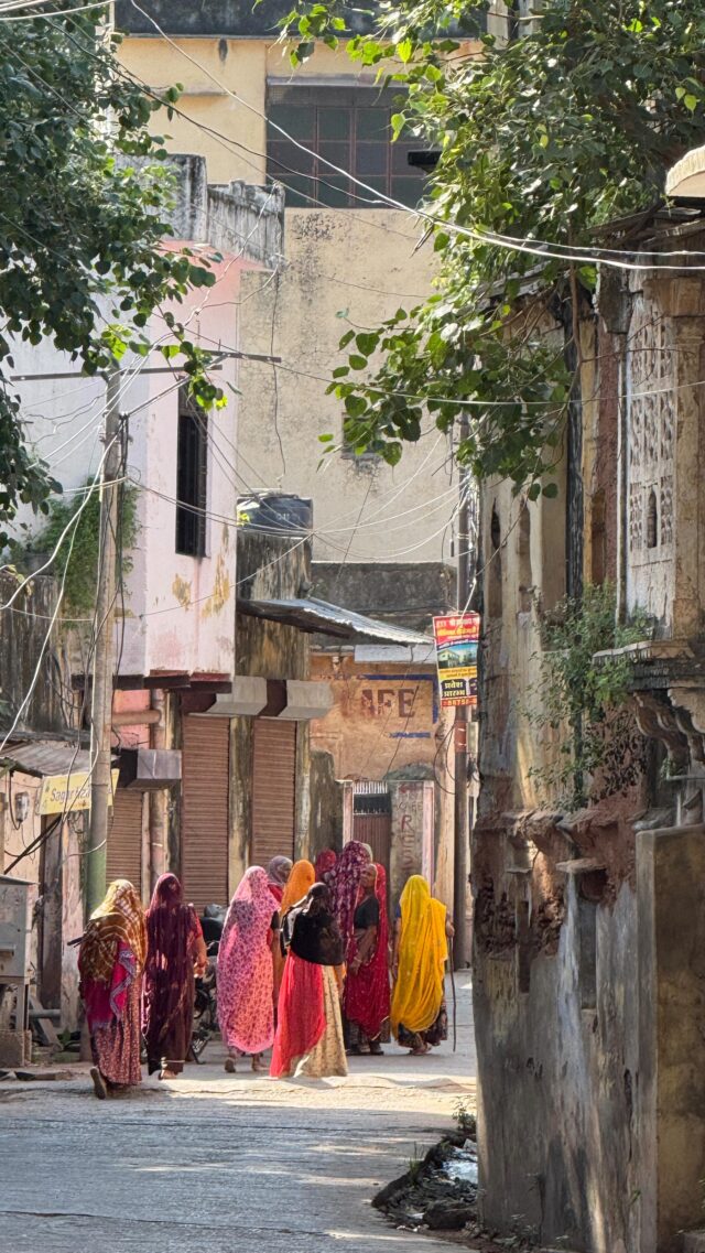 Rajasthan is colourful, harsh and full of beauty and history. Religion is lived, the people are kind, and I’m loving being immersed in the culture of Jaipur and Bundi - monkeys and all. 

@gadventures #soloish #rajasthan #india #responsibletravel #ethicaltravel @mindfoodmag