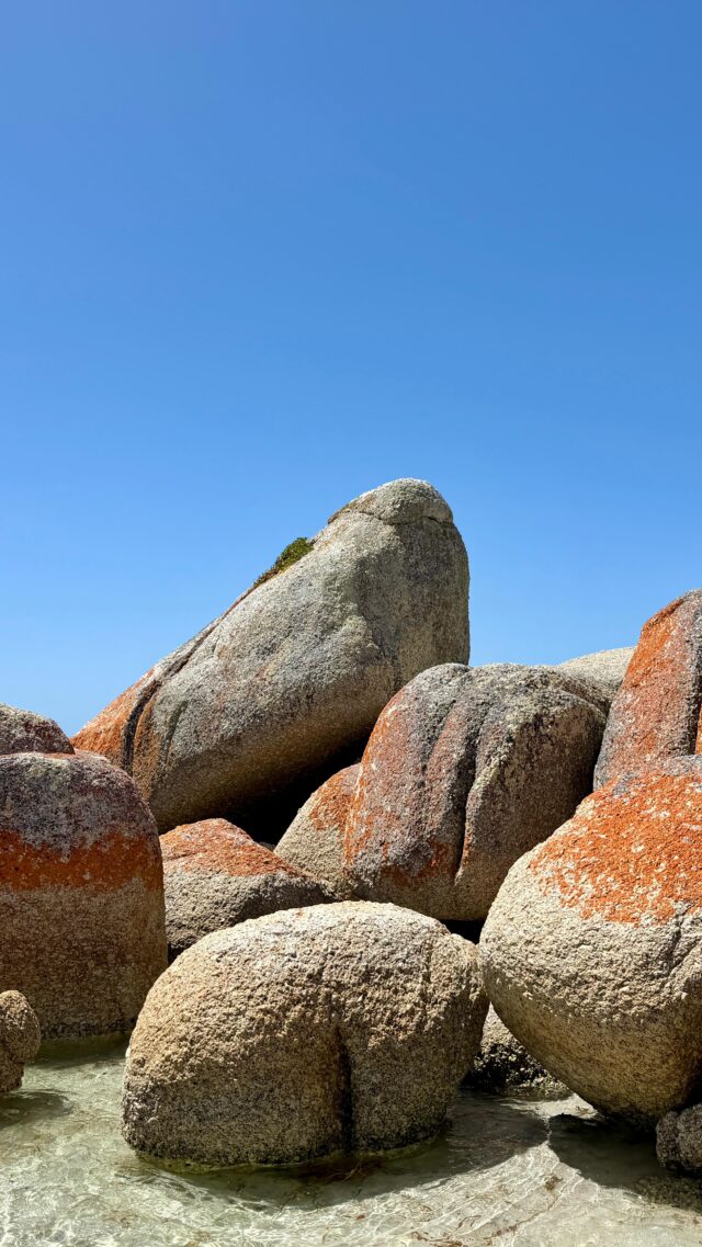 Just finished the indigenous-led and owned Wukalina Walk out of Launceston in Tasmania. What a way to see this beautiful part of the country and gain deeper insight into our First Nations people and history. Highly recommend doing! Three nights out in nature, walking, eating amazing food (wallaby, possum, bush tucker, seafood), learning, connecting to country. What a privilege. 

@wukalinawalk @mindfoodmag #indigenous #culturaltravel #naturelover